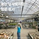 아침농원 | 용인 남사꽃시장 위치 아침농원 식물 화분 분갈이 가격 후기