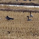 마정2리 이미지