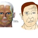 마비상사 이미지