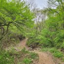 상전면사무소 이미지