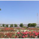 미니스톱 한강양화2점 이미지