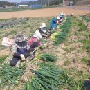 안성농식품물류센터 이미지