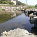 광릉내로 이미지