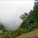 한수  마을회관 이미지