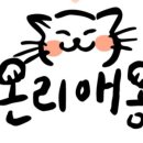 온리애옹 이미지