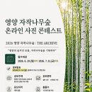 [사진 공모전] 2026년 영양자작나무숲 온라인 사진 콘테스트 이미지