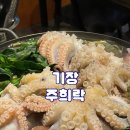 주희락 | [부산 기장] 주희락 일광 싱싱한 활쭈꾸미 샤브샤브와 미더덕회 먹은 후기