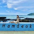 헤어캐슬로즈마리 | 제주시 함덕 호텔 추천 스위트캐슬 + 제주 코스