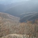 지리산 깊은골 이미지