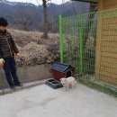 행치령로 이미지