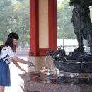 일본 도쿄 2박3일 자유여행 금 토 일 2박3일 배낭여행 이미지