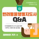 행정사사무소 설빛 네이버블로그