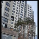 중앙공인중개사무소 이미지