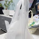 산촌흑염소 - 춘천시 | 산촌흑염소
