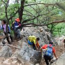 소리산479m(경기,양평)산행 신청방 이미지