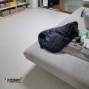 상록자이언트 | 키팡매트 색상 베이지 코튼으로 만든 안전한 공간 만들기 [책향기마을 상록경남아너스빌 25평]