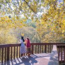 운곡생태습지길 1코스 이미지