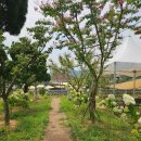 노란우체통 이미지