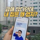 서울부동산중개인 | 다주택자 급매물 쏟아진다.. 네고홈 부동산 어플로 집구하기 해보니