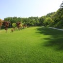 오투골프 이미지