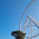 (주)여수예술랜드 | 여수 예술랜드 관람차 내돈내산 후기 아이와 여수여행 카페라피끄
