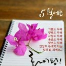 홍치킨 - 김포시 | 홍치킨