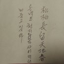 송백장 이미지