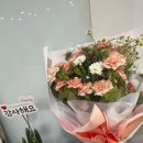 슈테른뮤직아카데미음악학원