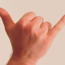 샤카 (SHAKA)