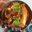 대전개인택시충전소주 | [대전] 호랑이| 대전 둔산동 데이트 술집, 대전 둔산동 맛집 방문기