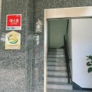 펜션 바다 | 강원도 삼척 장호항 펜션 숙소 추천 : 바다랑 펜션 장점 단점 솔직 후기