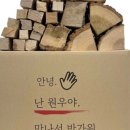 원우네 장작