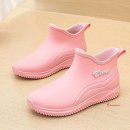 태풍소프트 이미지