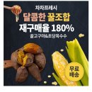 캐시닥/지니어트/타임스프레드 정답 황토 이미지