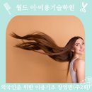 월드이·미용기술학원 티스토리