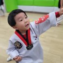 용인대명인태권도 이미지