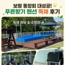 자연향기펜션 | [보령단체펜션] 푸른향기 펜션 독채 솔직후기! 동창회 모임 장소로 추천