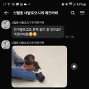 네발로오시개 이미지