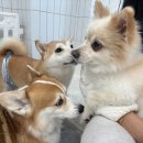 연희유치원 이미지