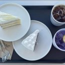 카페파노라마