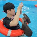 수달수영장 이미지