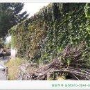 해영농장 네이버블로그