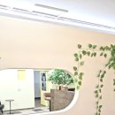 사파동204 이미지