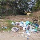 대보자원 이미지