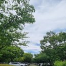 하단동1233 이미지