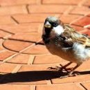 공설운동장(북편) 이미지