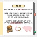 감자혁명
