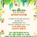 플라워앤가든인피플