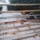 재신농장 이미지