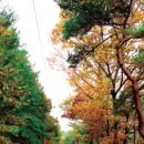 도성1리마을회관 이미지